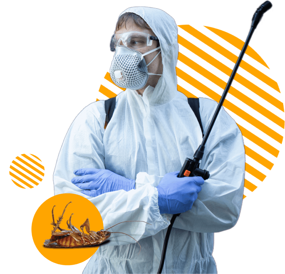 disinfestatore blatte