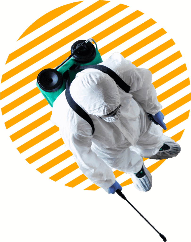 disinfestatore blatte