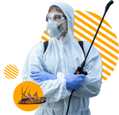 disinfestatore blatte