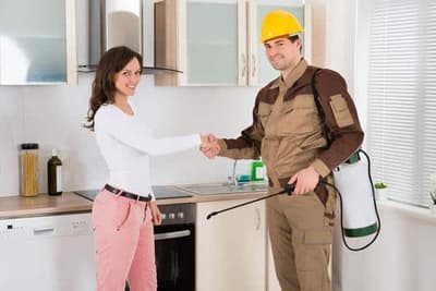 disinfestazione blatte cucina