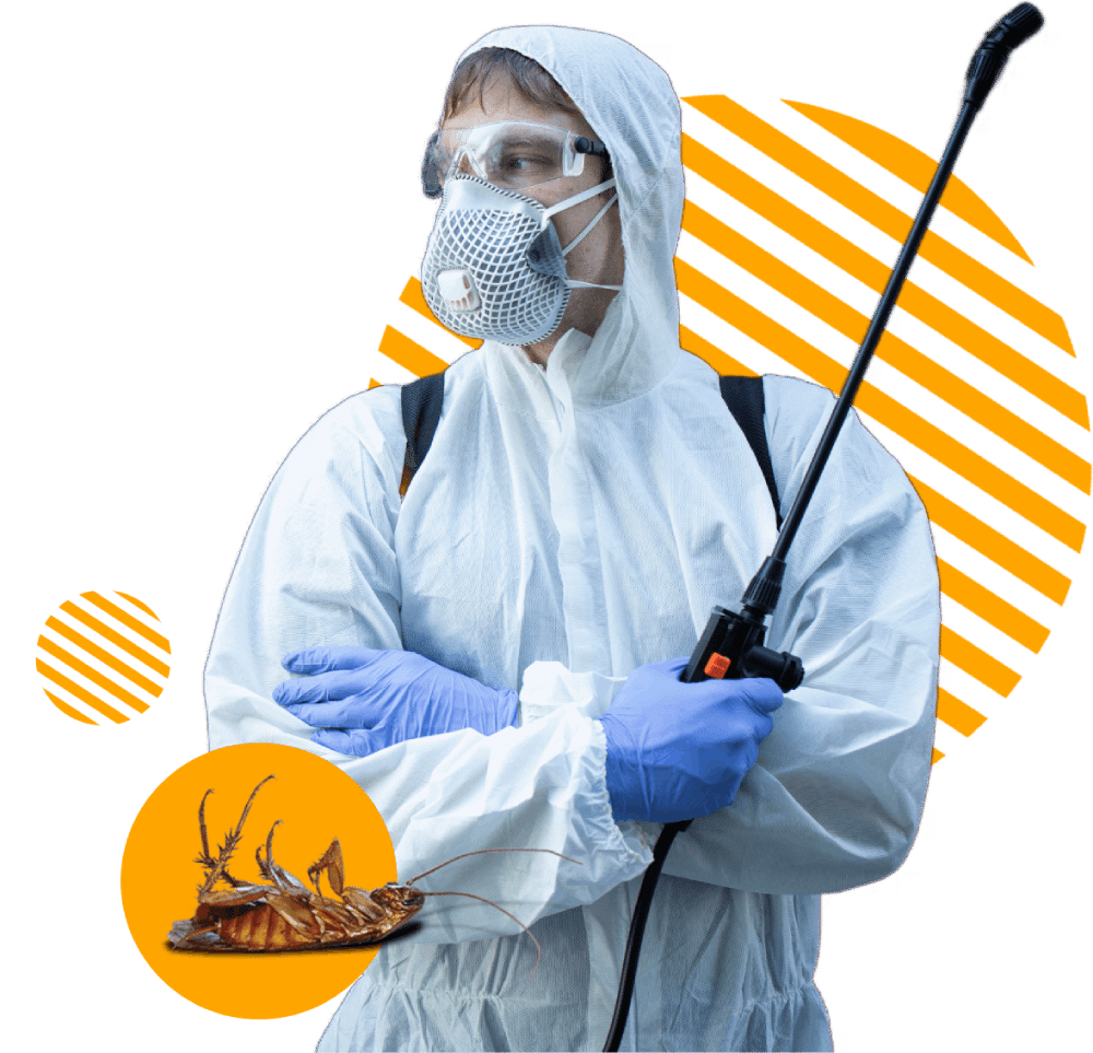 disinfestatore blatte