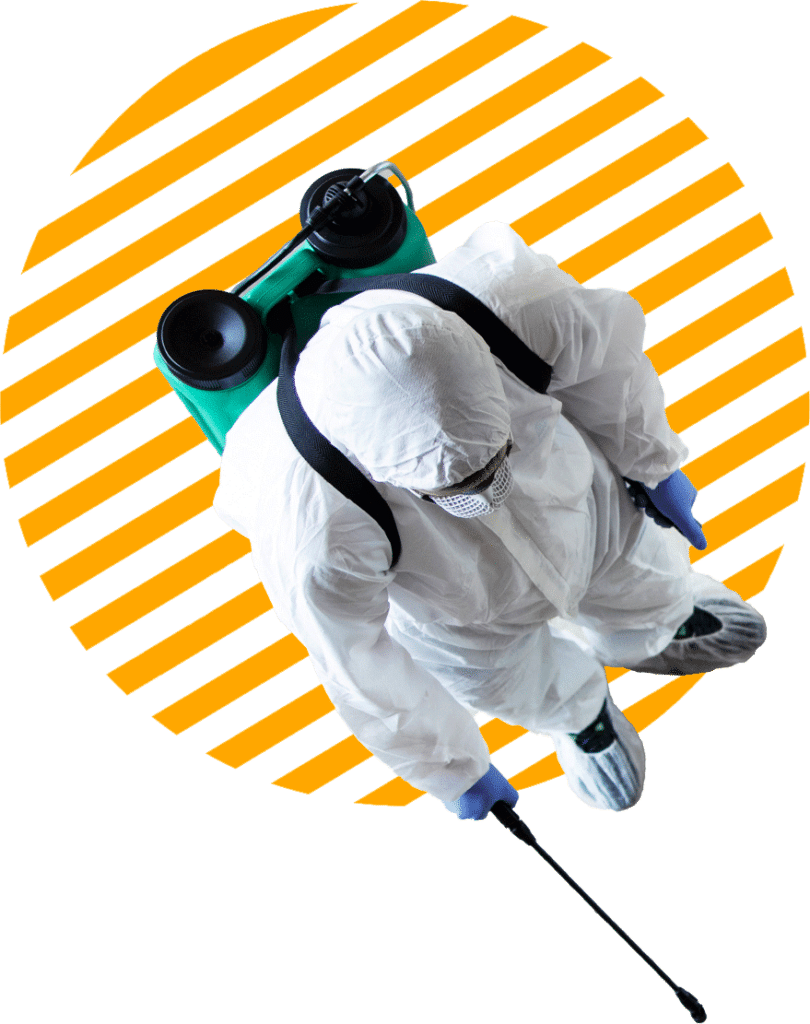 disinfestatore blatte
